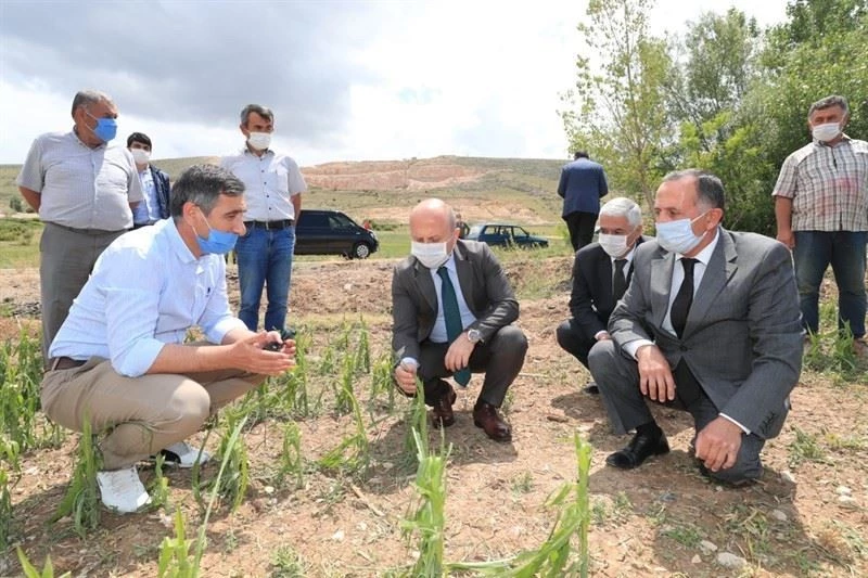 Vali Varol: “Devletimiz tüm imkanları ile zarar gören çiftçilerimizin yanındadır”
