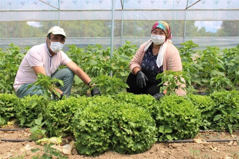 Özel sektördeki işlerini bırakıp çiftçi oldular
