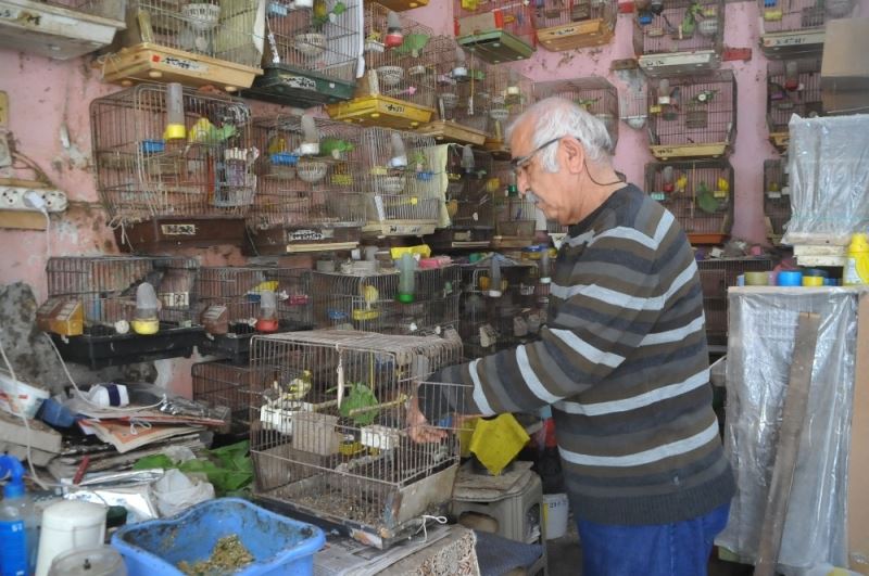 Emekli öğretmenin ’kuş’ tutkusu
