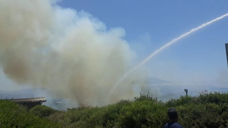 Titus Tüneli yakınında kuru ot yangını
