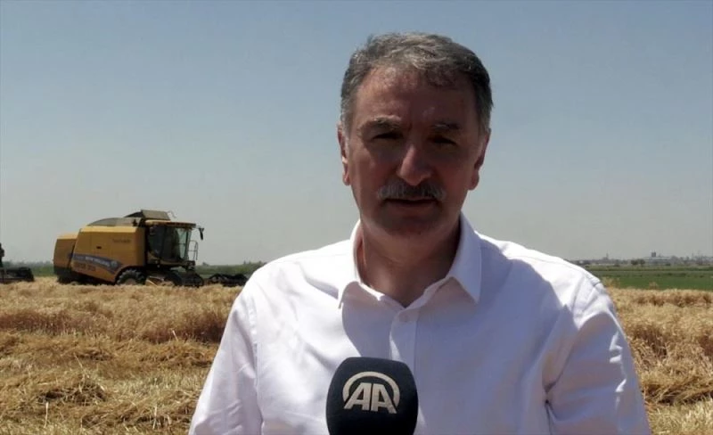 TMO Genel Müdürü Güldal: 