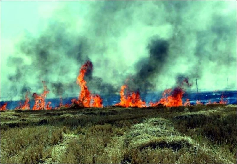 Anız yakanlara her dekar için 73 lira para cezası
