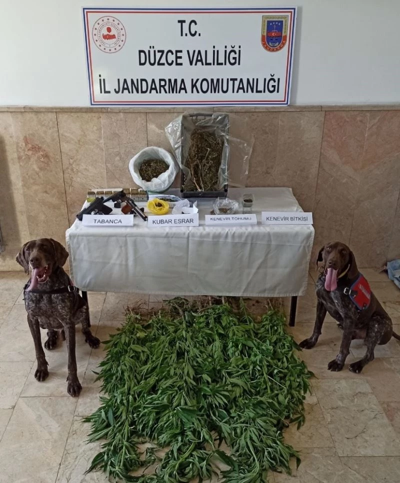 Uyuşturucu tacirlerine köpekli aramada suçüstü

