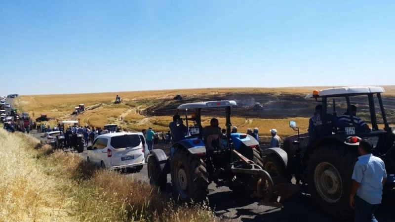 Elektrik direğinden çıkan kıvılcım 50 dönüm ekili araziyi küle çevirdi
