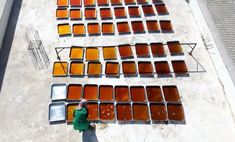 Dut pekmezi güneşle renkleniyor
