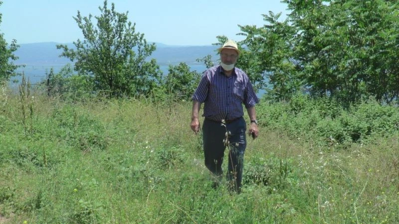 Hayırsever iş adamı 30 yıllık huzur evi hayalini gerçeğe dönüştürmek istiyor
