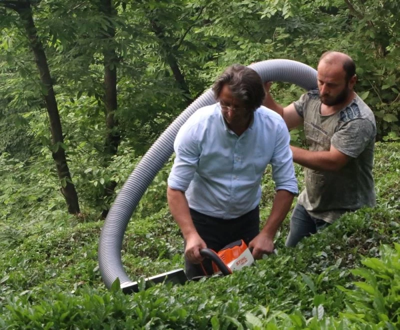 Kurduğu devrim niteliğindeki sistemle çay toplamak artık daha kolay
