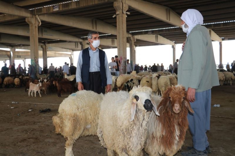 Hayvan pazarında çubuklu anlaşma dönemi
