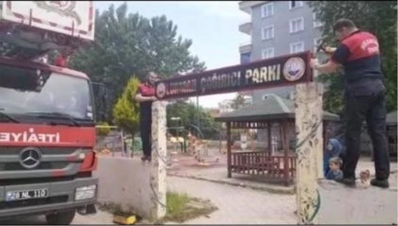 İş makinesi ile parkın girişini yıktılar, ağaçta mahsur kalan yavru kargayı kurtardılar
