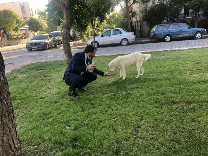 AK Parti’li başkan sokak köpeğine eliyle su içirdi
