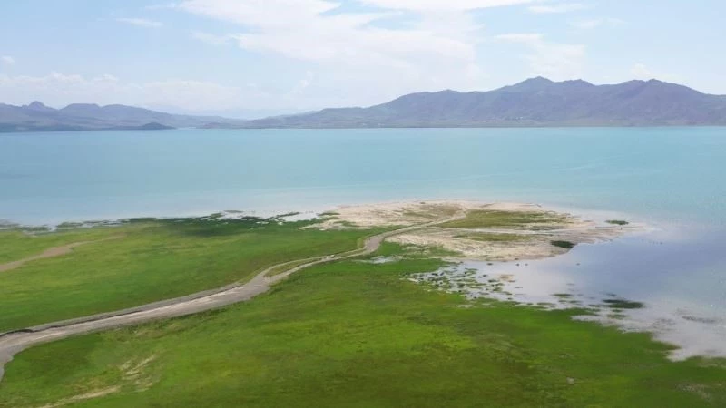 Flamingo cenneti Erçek Gölü “kesin korunacak hassas alan” ilan edildi
