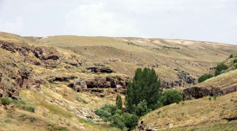 Ahlat sazlıkları ve Madavans Vadisi ‘kesin korunacak hassas alan’ ilan edildi
