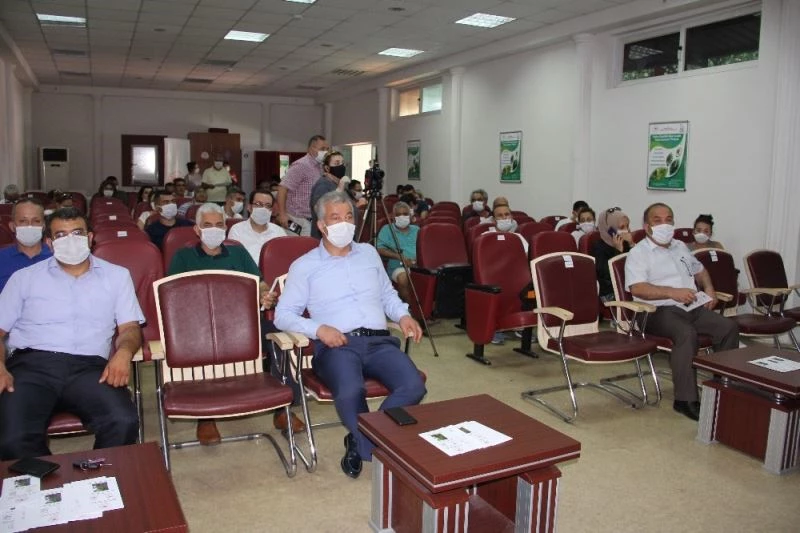 Mersin’de yeni bir muz çeşidi geliştirildi: Alata Azmanı
