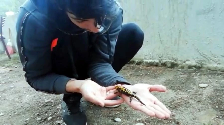 TÜRÜNE AZ RASTLANAN 