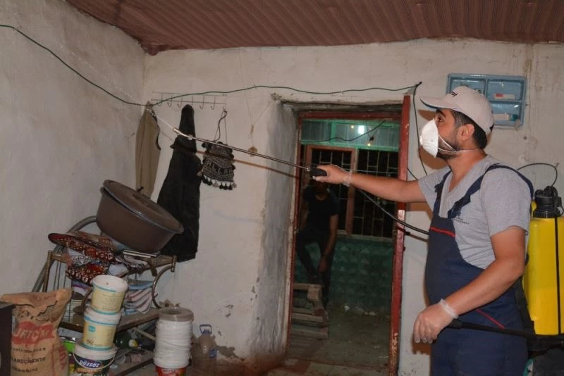 Hakkari’de yılan korkusu ev boşalttı
