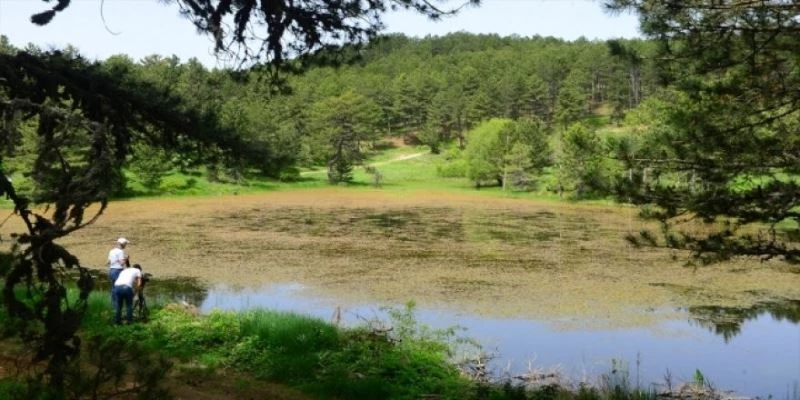Murat Dağı’nda ’ÇED olumlu raporunun iptali Danıştay tarafından onandı
