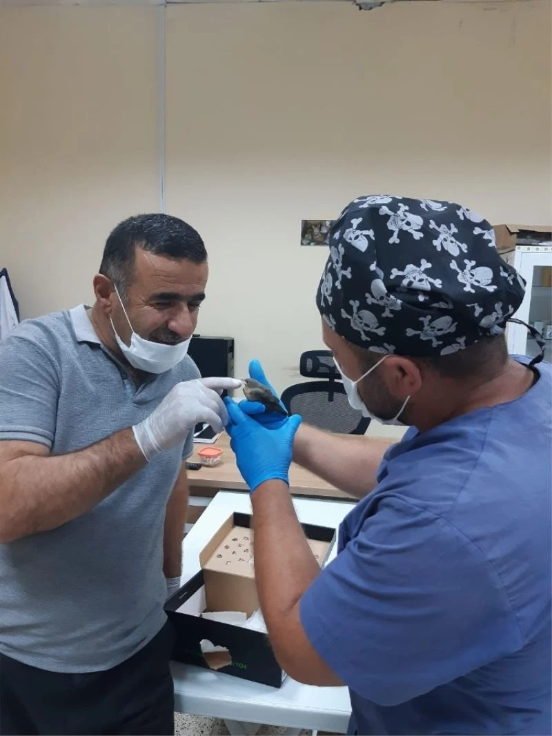 Belediye ekibinden Ebabil kuşuna şefkat eli
