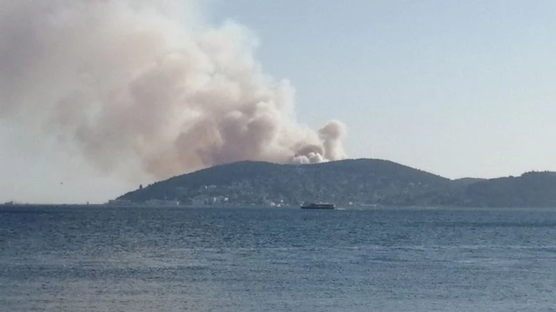 İstanbul Heybeliada’da orman yangını çıktı. Yangına karadan ve havadan ekipler tarafından müdahale ediliyor.
