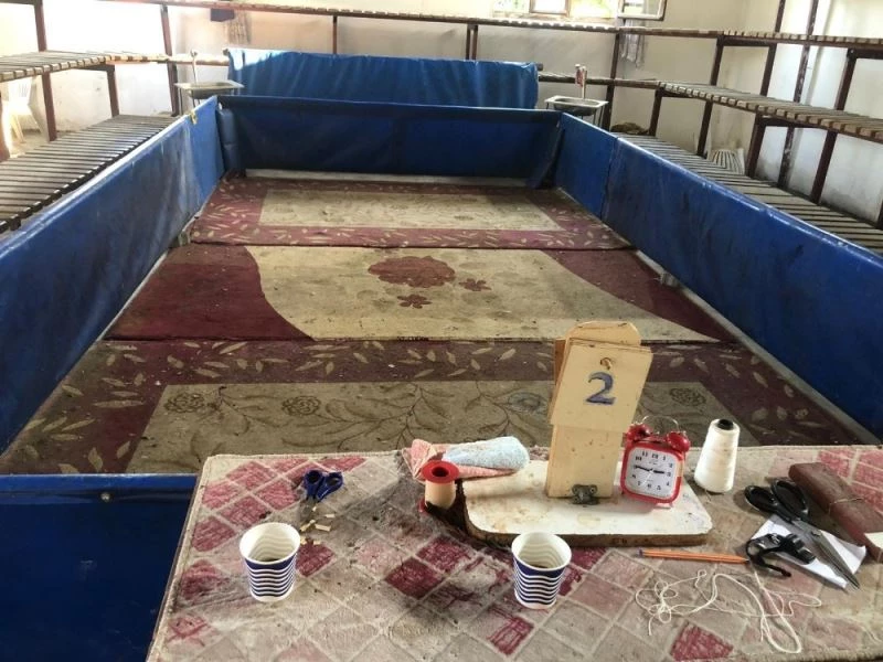 Horoz dövüştürülen dernek kapatıldı
