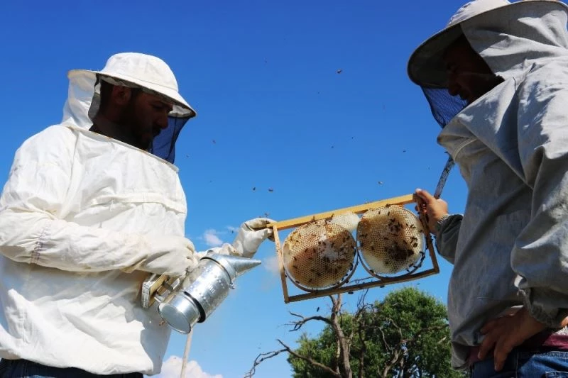 ‘Keşke’ dememek için 9 kovanla arıcılık işine girdiler, siparişlere yetişemiyorlar
