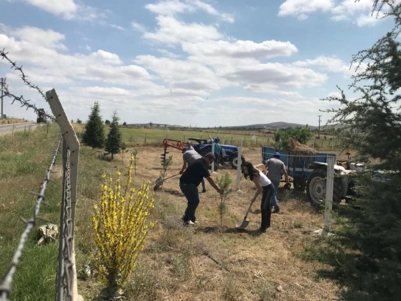 ESOGÜ Mahmudiye Atçılık Meslek Yüksekokulu’nda fidan dikimi
