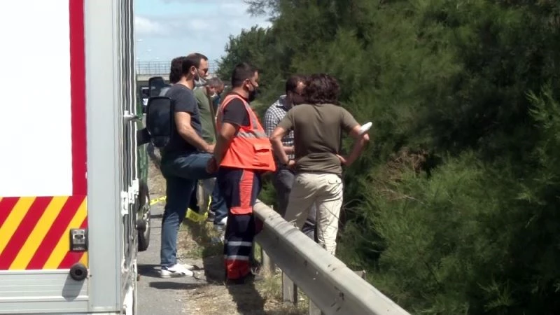 TEM Otoyolu kenarında parçalanmış halde insan cesedi bulundu
