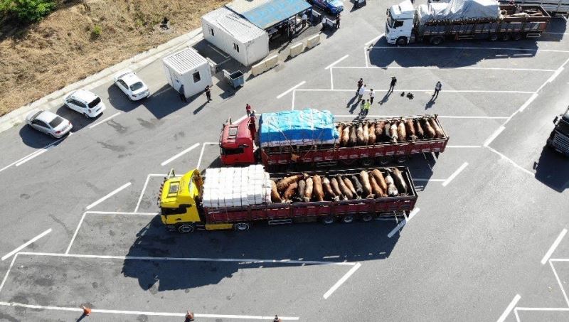 İstanbul’a gelen kurbanlıkların denetimleri havadan görüntülendi
