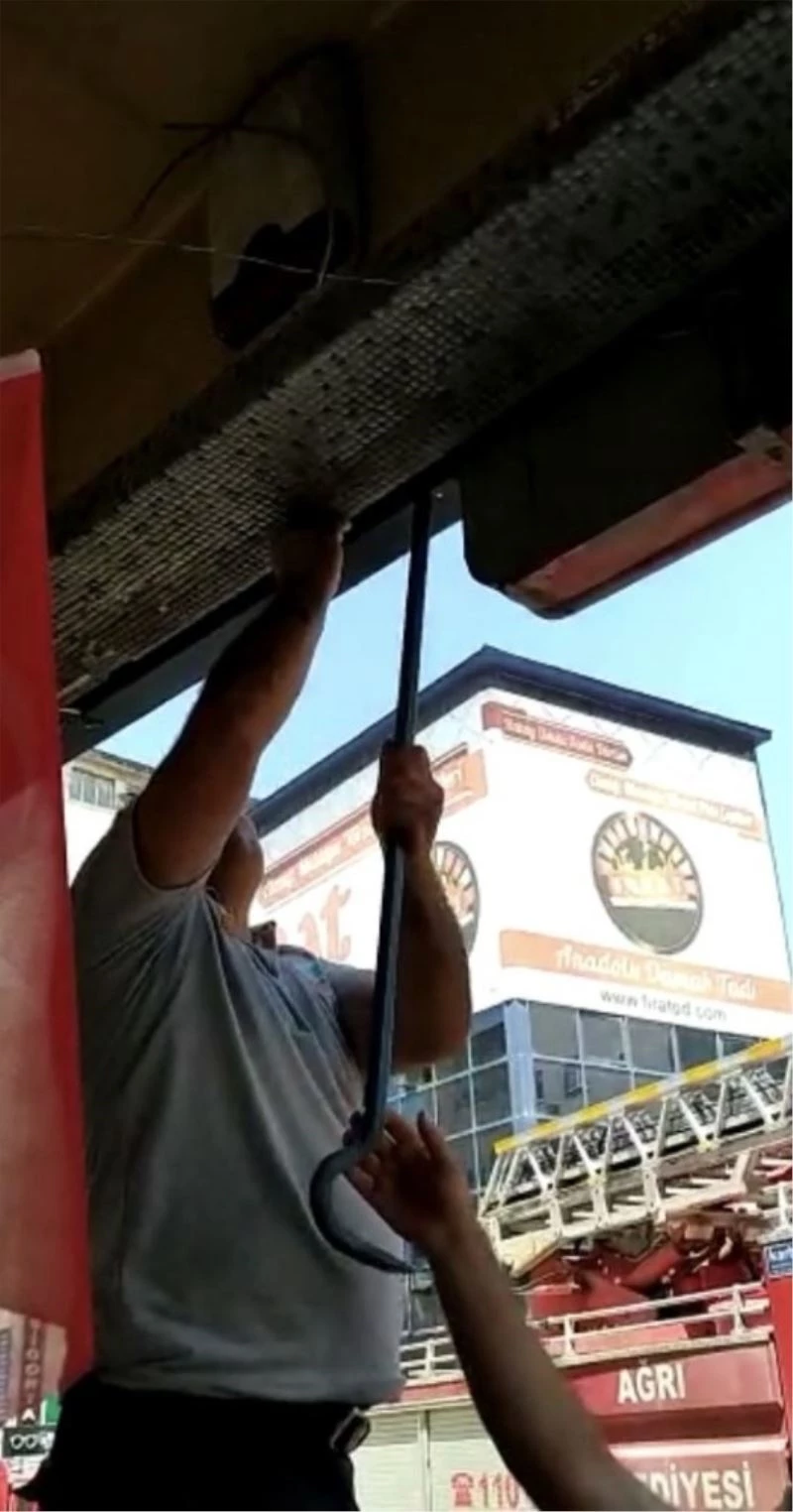 Dükkan tabelasına sıkışan güvercin itfaiye tarafından kurtarıldı
