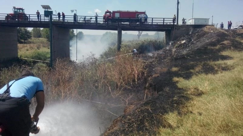 Otomobilden atılan izmarit yangın çıkardı
