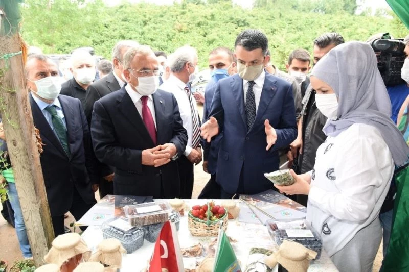 Bakan Pakdemirli: “2020 yılı fındık rekoltemizi 665 bin ton olarak öngörmekteyiz”
