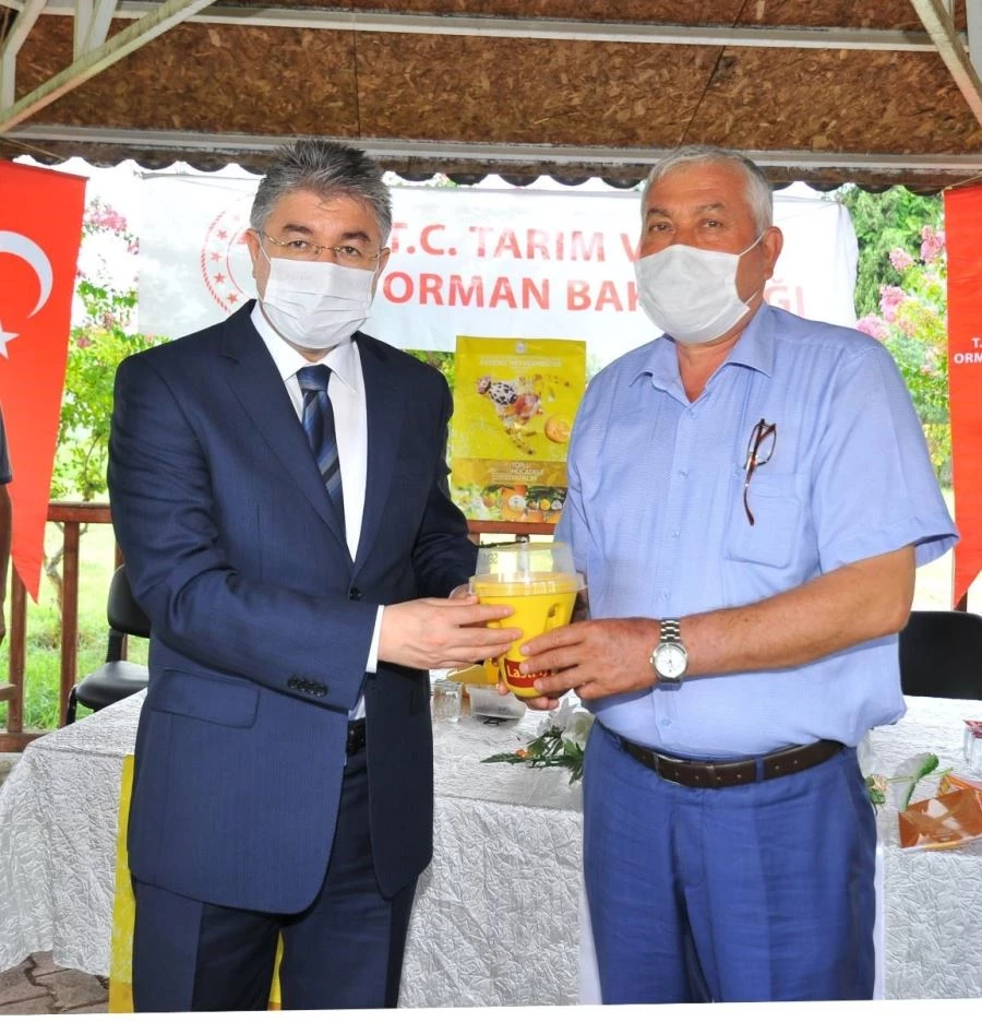 TURUNÇGİL ÜRETİCİLERİNE AKDENİZ MEYVE SİNEĞİ TUZAĞI DAĞITILDI