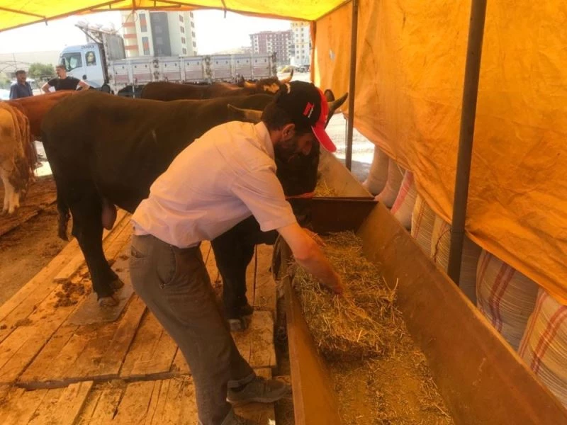 Besiciler nasıl pazarlık yapacakları konusunda şaşkın
