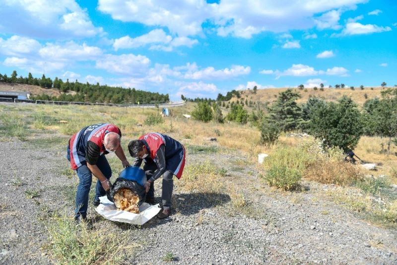 Restoranlardaki artık yiyecekler sokak hayvanlarına gidecek
