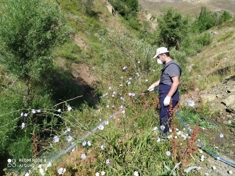 Hakkari Belediyesinden larvasit ilaçlama çalışması
