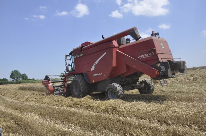 Trakya’da hasat vakti: Biçerdöverler tarlalara girdi
