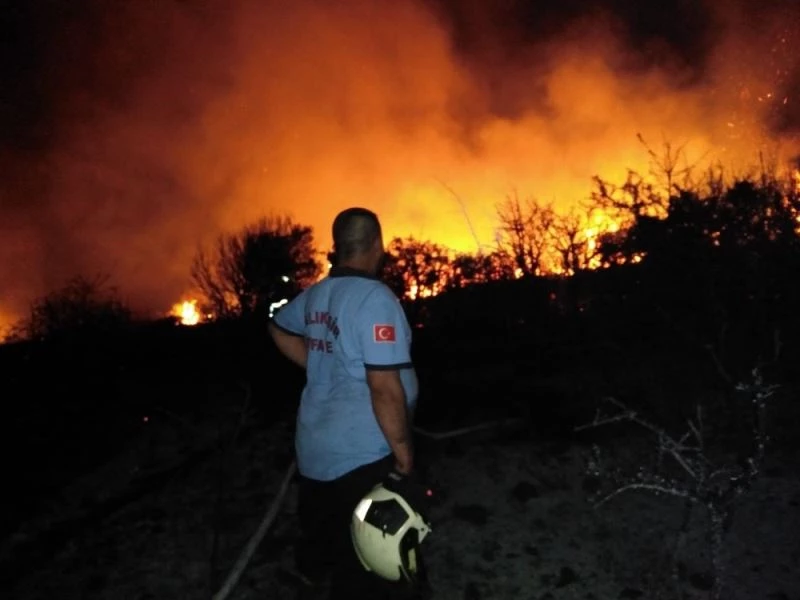 Ayvalık’ta Maden Adası’nda çıkan yangın itfaiyenin fedakarlığıyla söndürüldü

