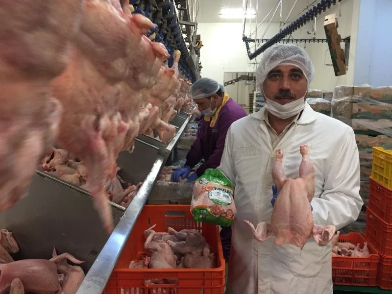 Et yerine suya para ödemeyin
