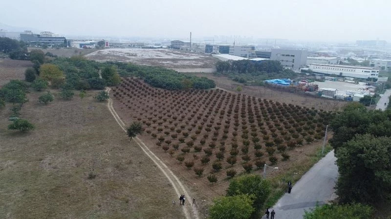 TOKİ’nin arsaları açık arttırma ile satışa çıkıyor
