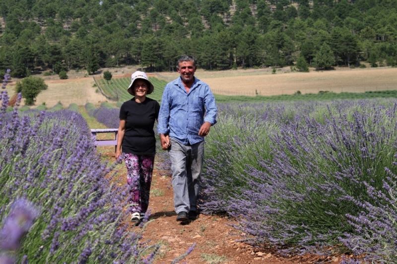 Bin 420 rakıma lavanta tarlası kurdular
