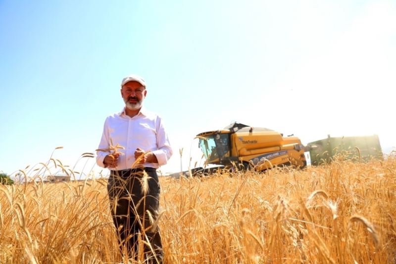 Kocasinan’da 10 bin yıllık Siyez Buğdayının hasadı yapıldı
