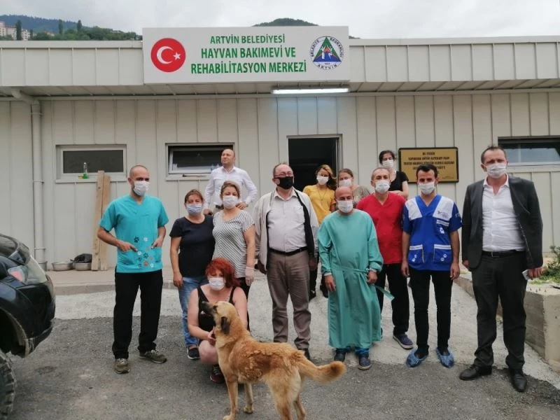 Artvin’de sokak hayvanlarını kısırlaştırılıyor
