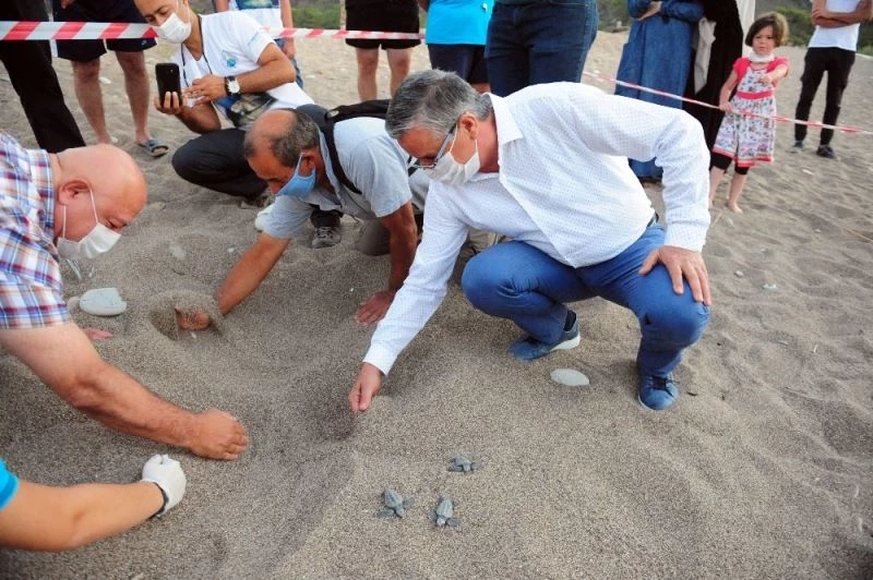 Çıralı sahilinde carettaların yuva açılışı yapıldı
