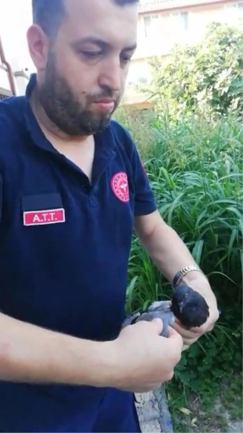 112 personelinden uçamayan güvercine yardım eli
