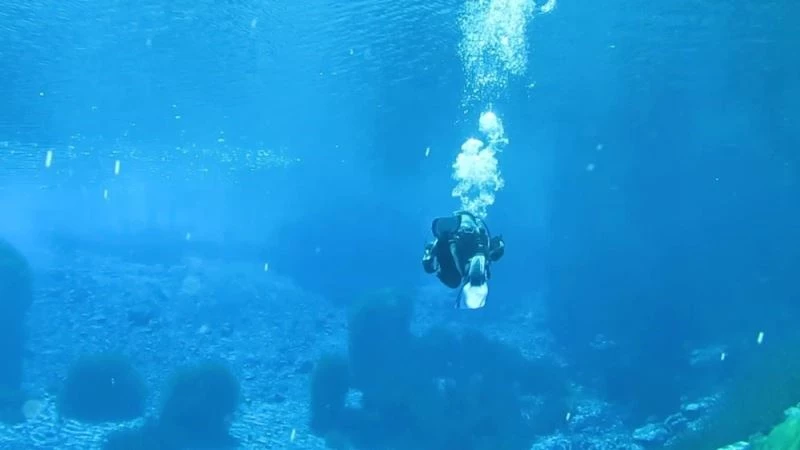 Suyunun berraklığıyla dikkat çeken Gökpınar gölü, sualtı güzelliğiyle büyüledi
