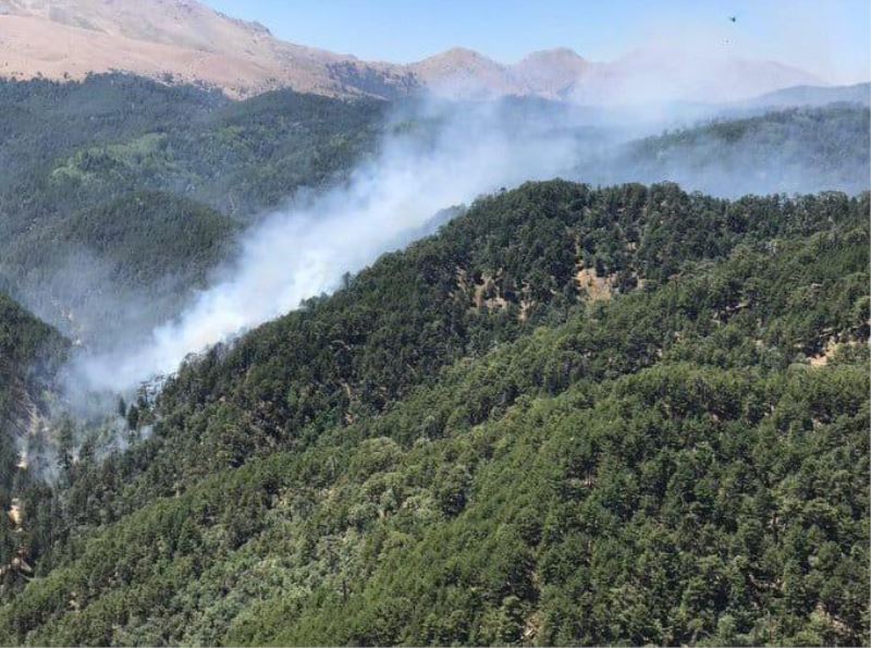 Kızıldağ’daki orman yangını kontrol altına alındı
