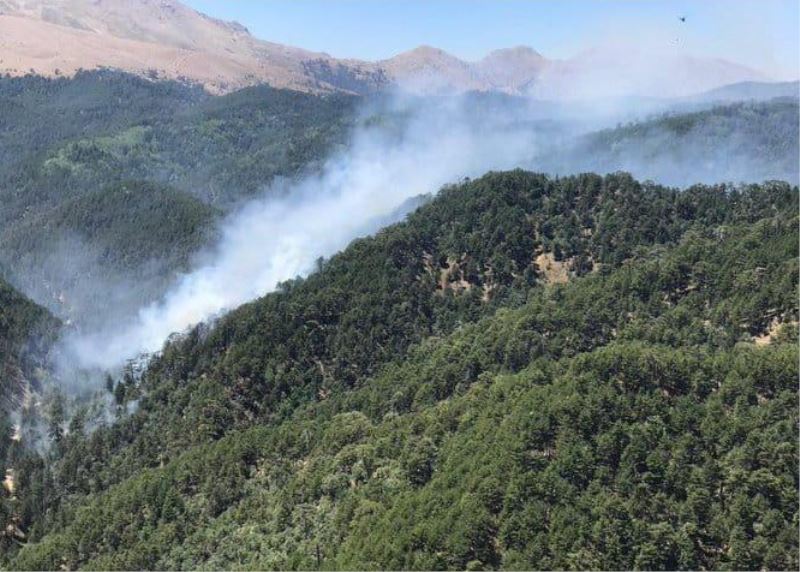 Kızıldağ’da orman yangını
