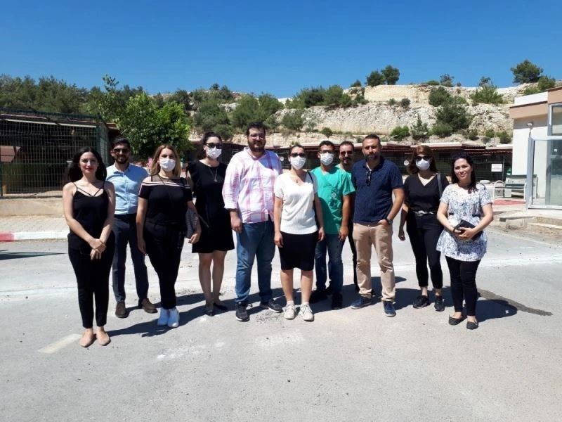 Mersin Barosu, pandemide sokak hayvanlarının barınma şartlarını raporladı
