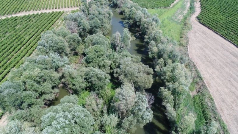 Nehrin ortasındaki adacığı zehir bahçesine çevirmişler
