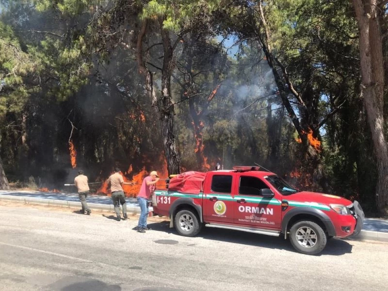 Araçtan atılan izmarit orman yangınına sebep oldu
