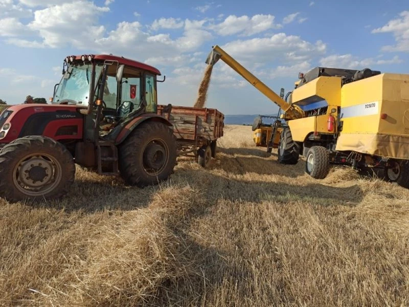 Umdukları hasadı yapamadılar
